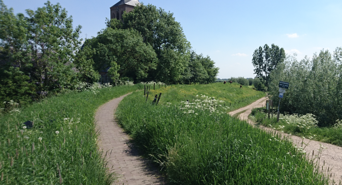 Nieuwe projecten Liemerse Ambassade