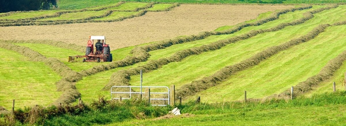 Informatiebijeenkomst over landbouw in de Liemers